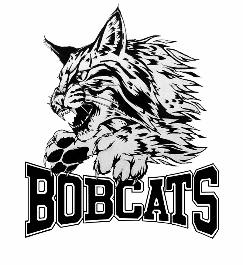 Bobcat
